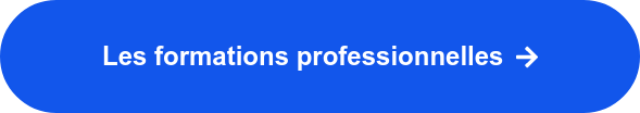 Les formations professionnelles